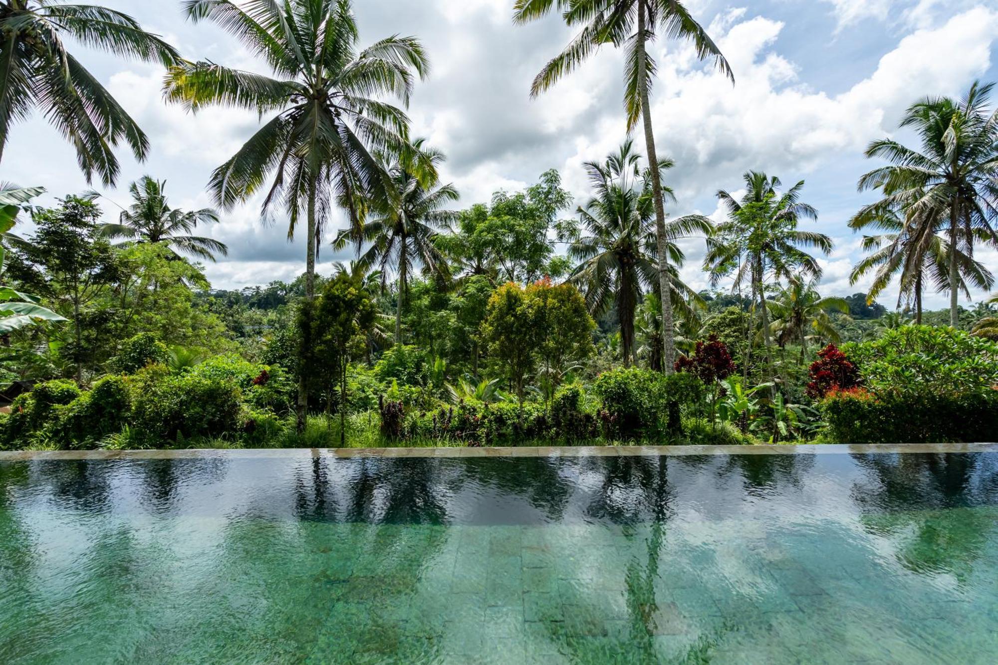 Villa Themma Jungle - Sumptuous 3Br Luxury Villa With Majestic Jungle View North Of Ubud Exterior foto